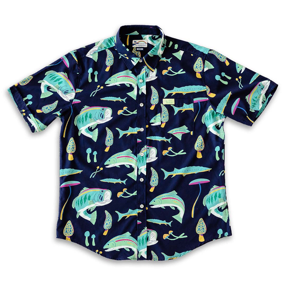 Fishroom: Stretch Tech