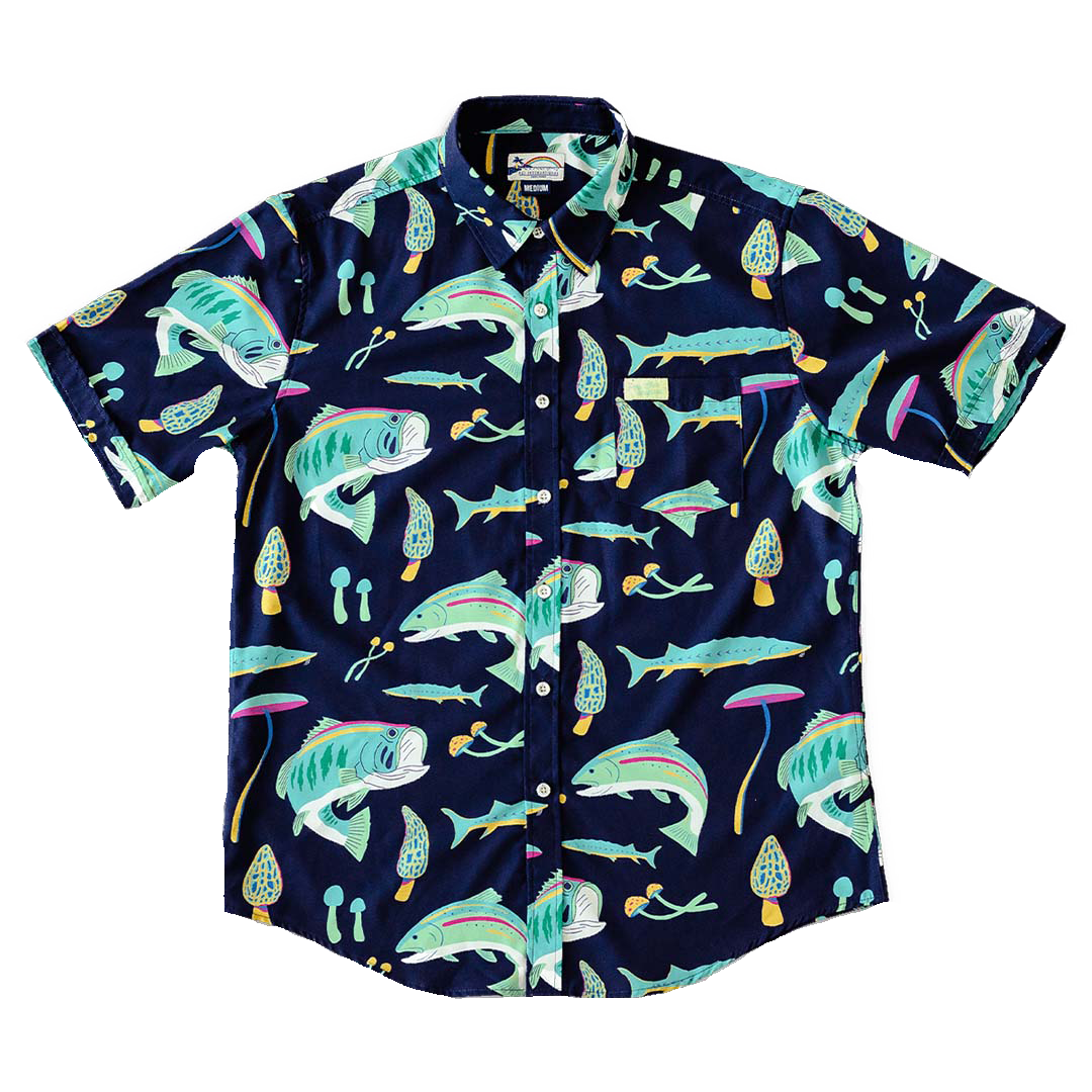 Fishroom: Stretch Tech