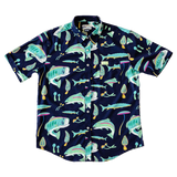 Fishroom: Stretch Tech
