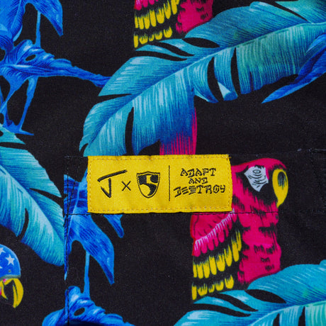 J Skis x High Fives: Stretch Tech